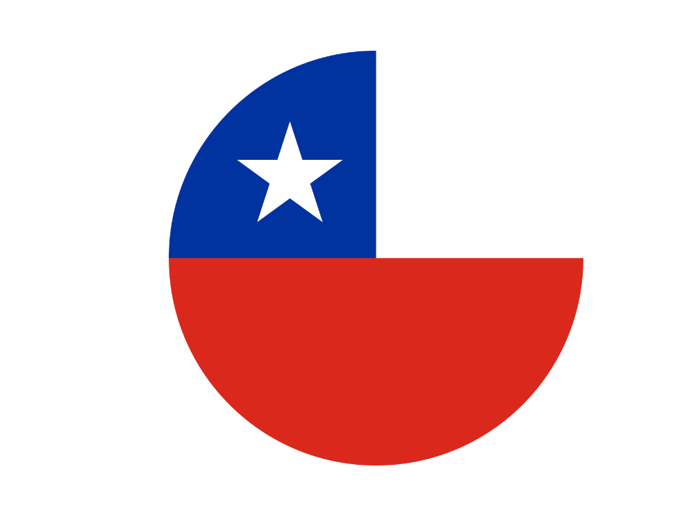 Bandera país 6