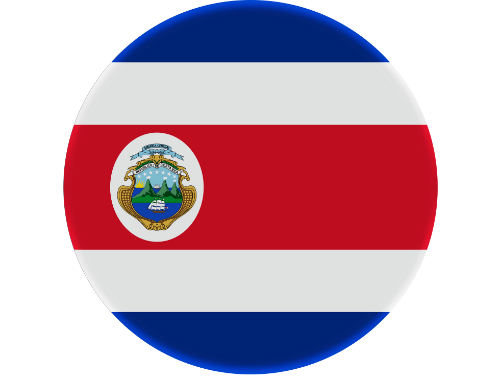 Bandera país 7
