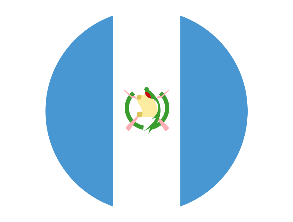 Bandera país 3